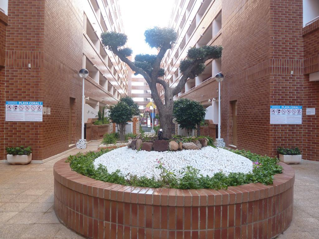 Апартаменты Playa Coral En Marina D'Or Оропеса-дель-Мар Экстерьер фото