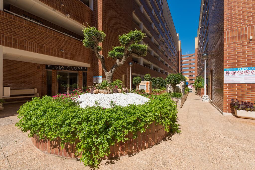 Апартаменты Playa Coral En Marina D'Or Оропеса-дель-Мар Экстерьер фото